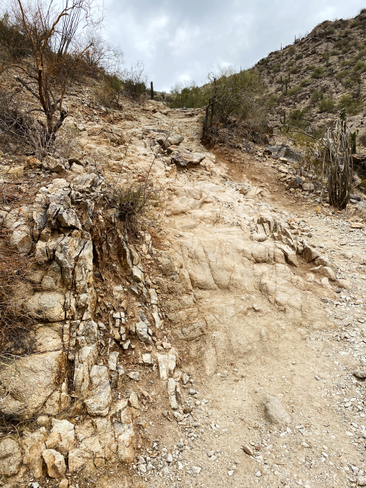 Desert Foothills Trails - South Mountains [Telegraph-, National-, Ranger-, Las Luminas- und  Kiwanis Trail]