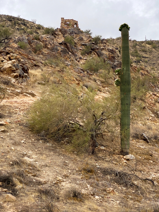 Desert Foothills Trails - South Mountains [Telegraph-, National-, Ranger-, Las Luminas- und  Kiwanis Trail]