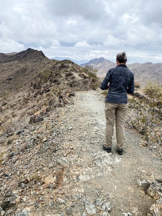 Desert Foothills Trails - South Mountains [Telegraph-, National-, Ranger-, Las Luminas- und  Kiwanis Trail]