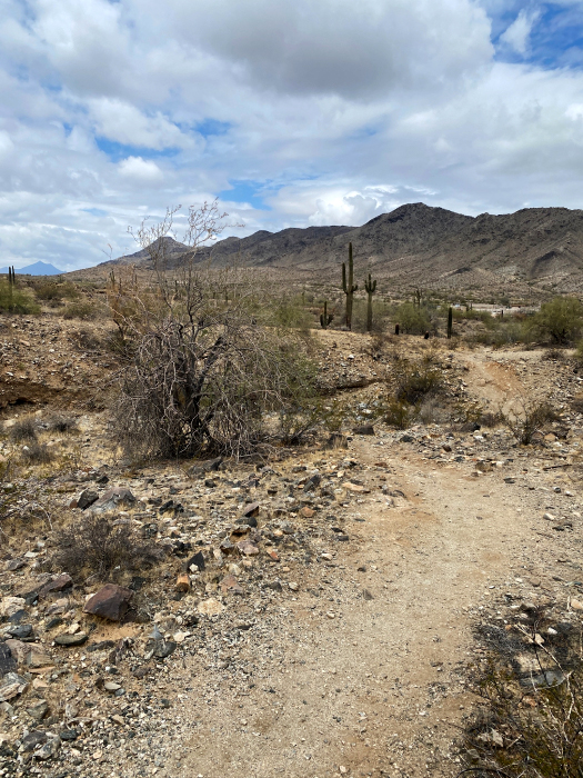 Desert Foothills Trails - South Mountains [Telegraph-, National-, Ranger-, Las Luminas- und  Kiwanis Trail]