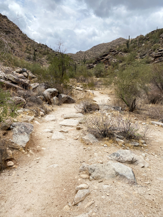Desert Foothills Trails - South Mountains [Telegraph-, National-, Ranger-, Las Luminas- und Kiwanis Trail]
