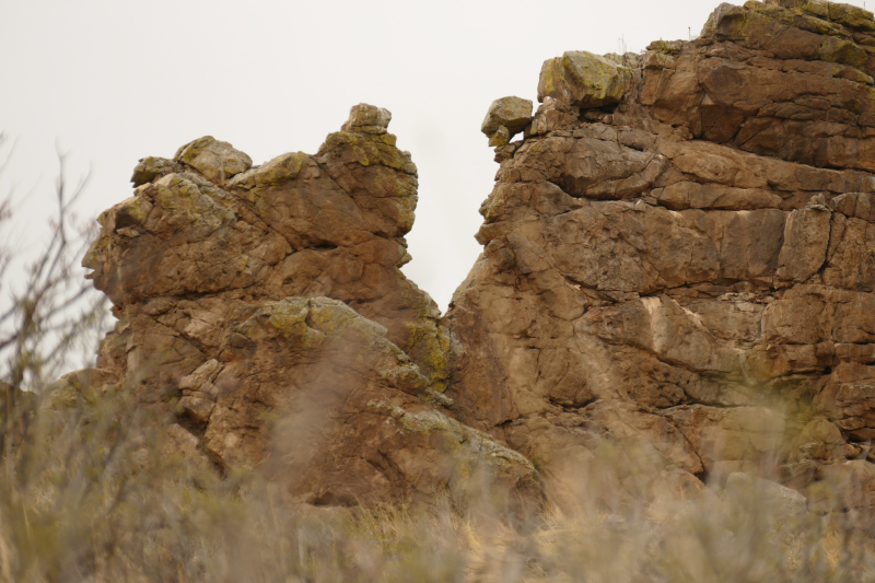 Devil's Backbone Open Space - Wild Loop Trail [Loveland]