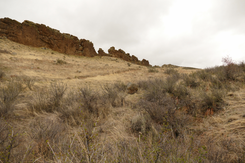 Devil's Backbone Open Space - Wild Loop Trail [Loveland]