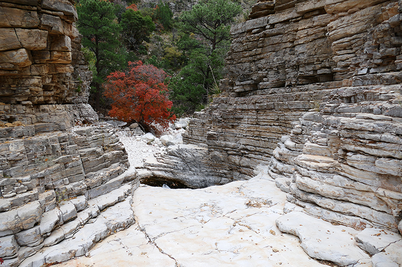 Devils Hall Guadalupe Mountains