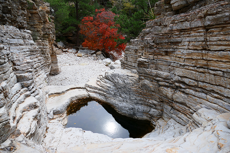 Devils Hall - Pine Spring [Guadalupe Mountains National Park]