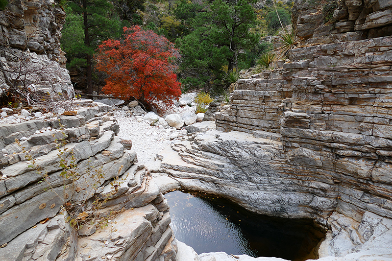 Devils Hall - Pine Spring [Guadalupe Mountains National Park]