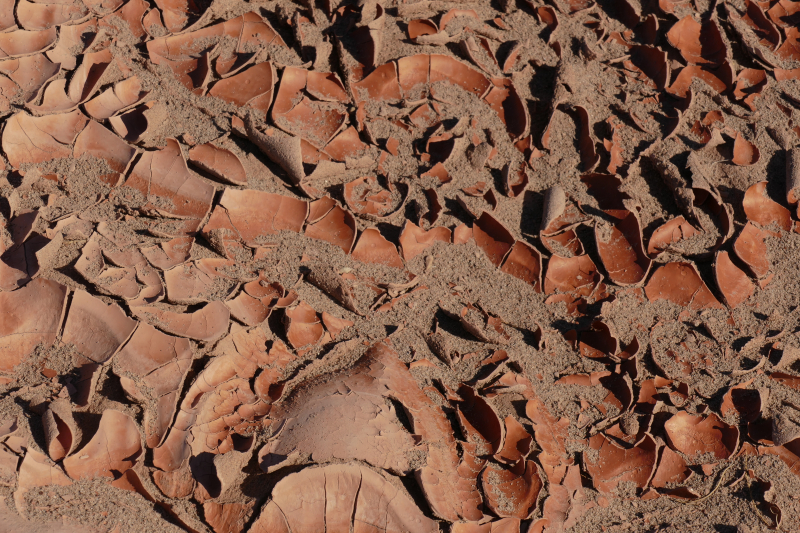 Devils Playground [Petrified Forest National Park]