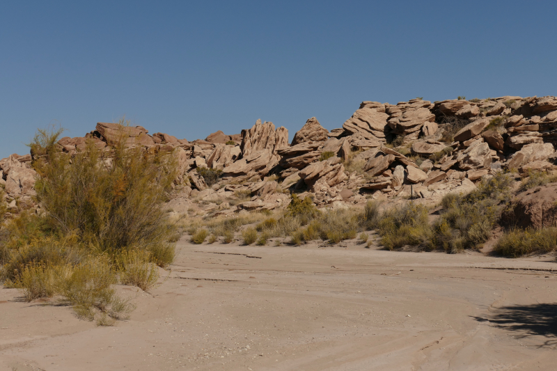 Devils Playground [Petrified Forest National Park]