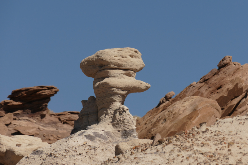 Devils Playground [Petrified Forest National Park]