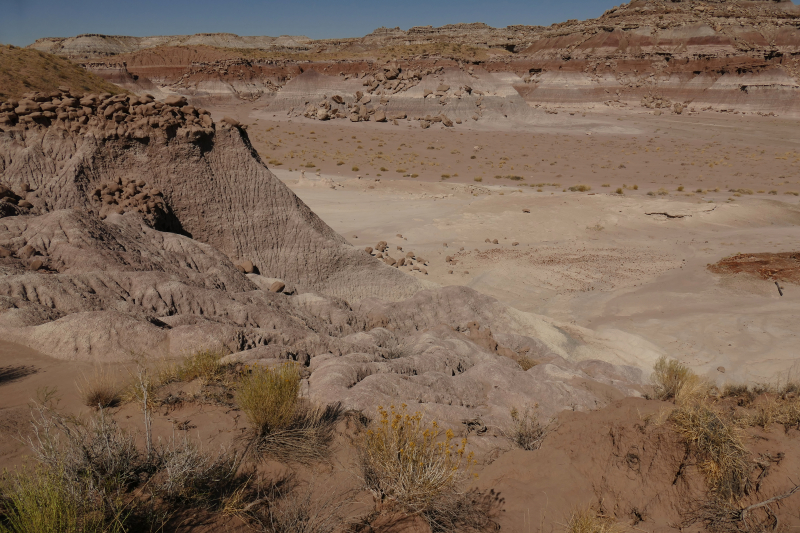 Devils Playground [Petrified Forest National Park]