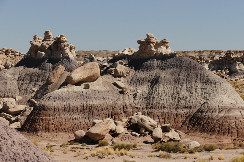 Devils Playground [Petrified Forest National Park]