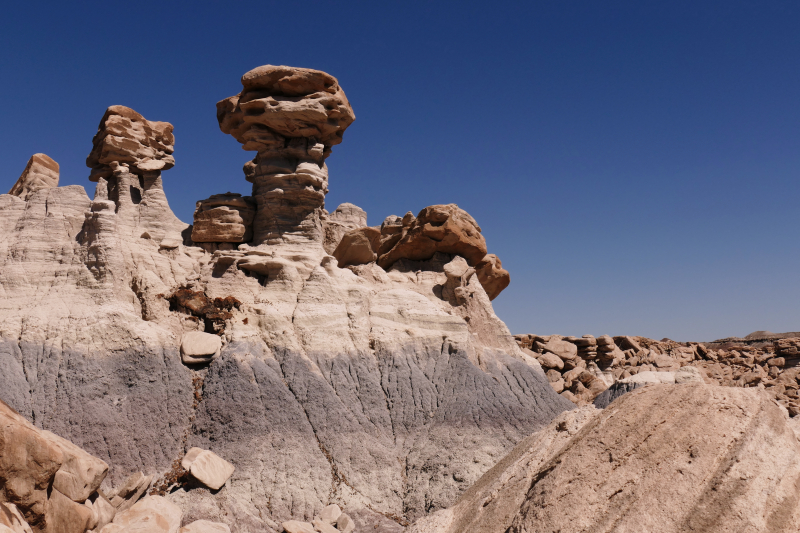 Devils Playground [Petrified Forest National Park]