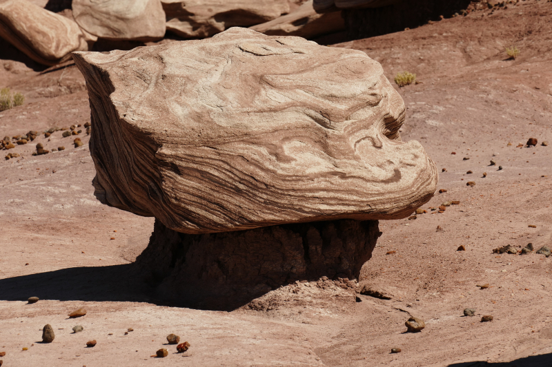 Devils Playground [Petrified Forest National Park]