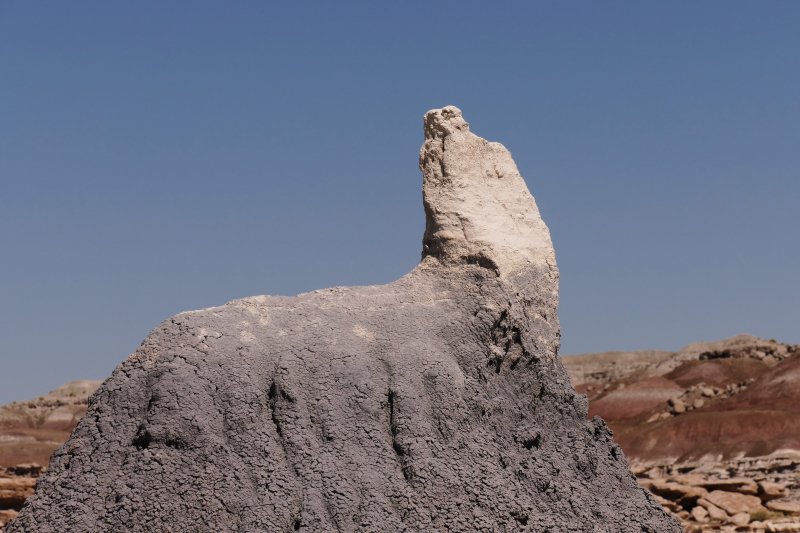 Devils Playground [Petrified Forest National Park]