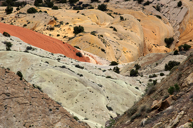 Dinosaur National Monument