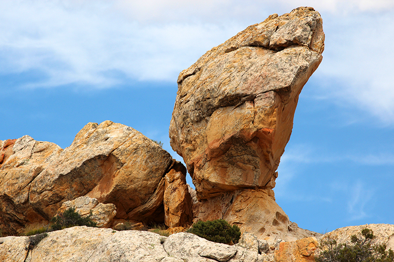 Dinosaur National Monument