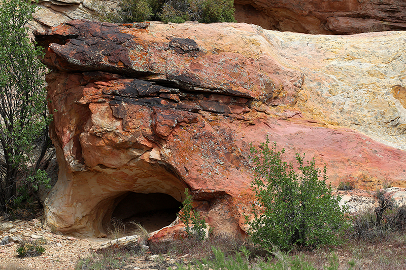 Dinosaur National Monument