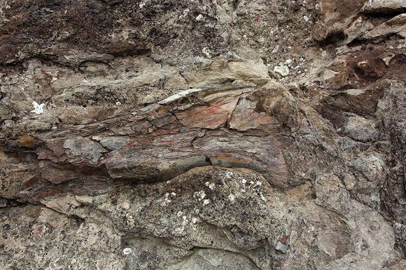 Dinosaur National Monument