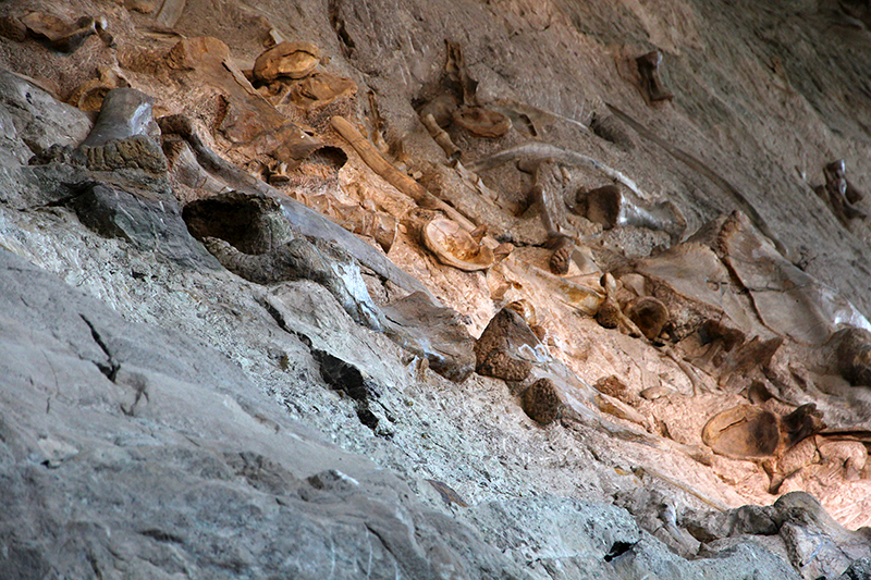 Dinosaur National Monument