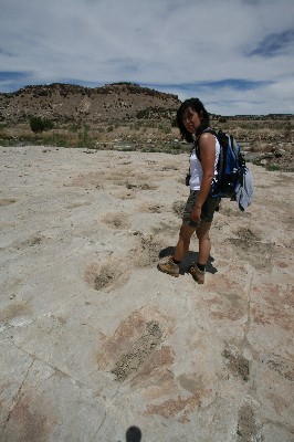 Dinosaur Tracks [Picketwire Canyon]