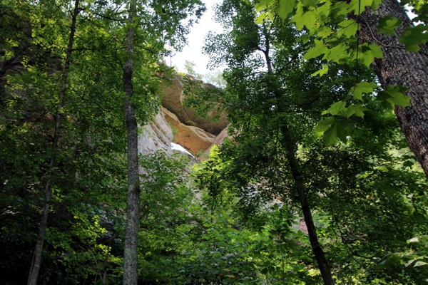 Double Arch