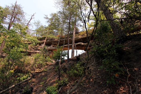 Double Arch