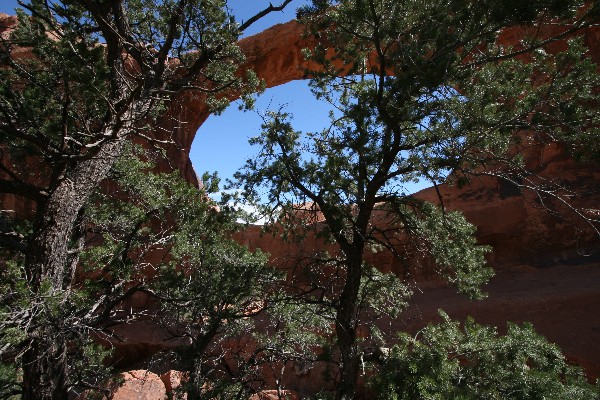 Double O Arch