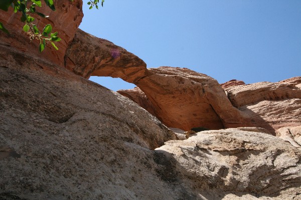 Double Arch [Muley Twist Canyon]