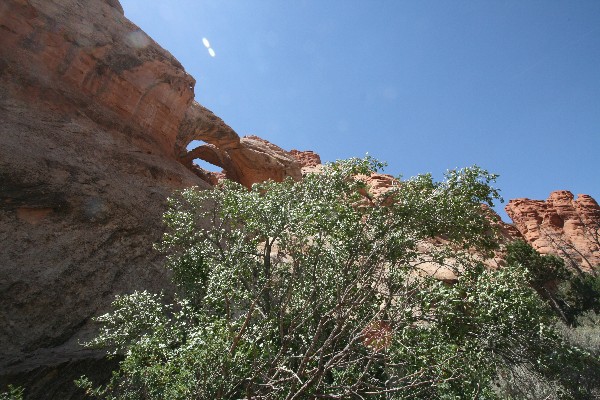 Double Arch [Muley Twist Canyon]