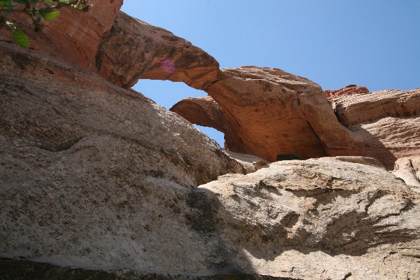 Double Arch [Muley Twist Canyon]