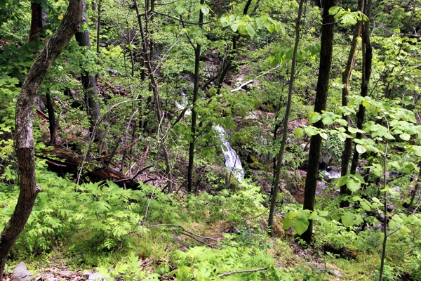 Doyles Run Falls [Shenandoah National Park]