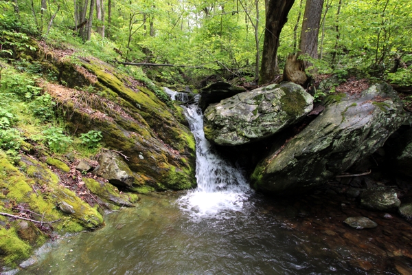 Doyles Run Falls [Shenandoah National Park]