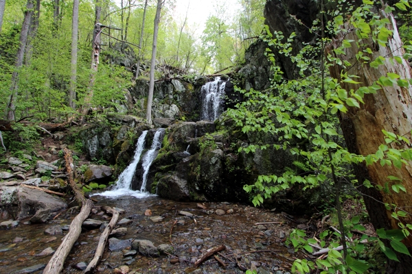 Doyles Run Falls [Shenandoah National Park]