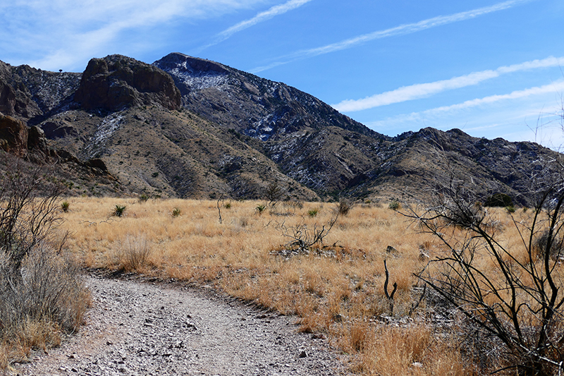 Dripping Springs Trail [Organ Mountains]