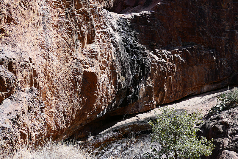 Dripping Springs Trail [Organ Mountains]