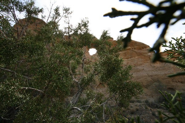 Dromedary Arch