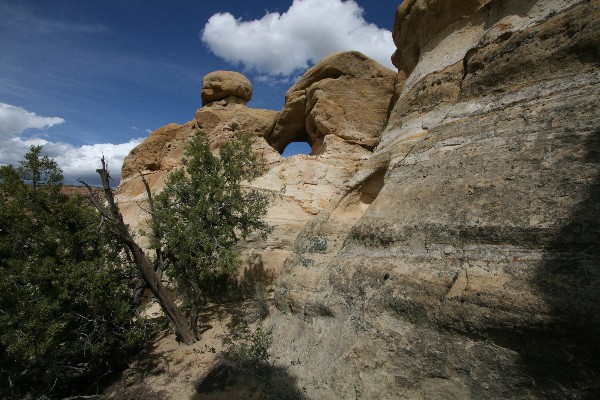 Dromedary Arch