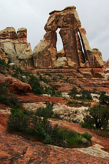 Druid Arch [Canyonlands NP Needles District]