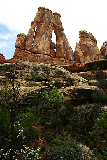 Druid Arch [Canyonlands NP Needles District]