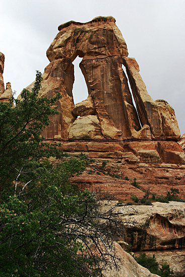 Druid Arch [Canyonlands NP Needles District]