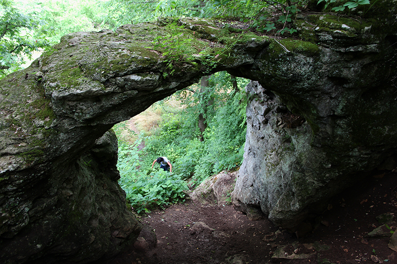 Dry Sac Arch