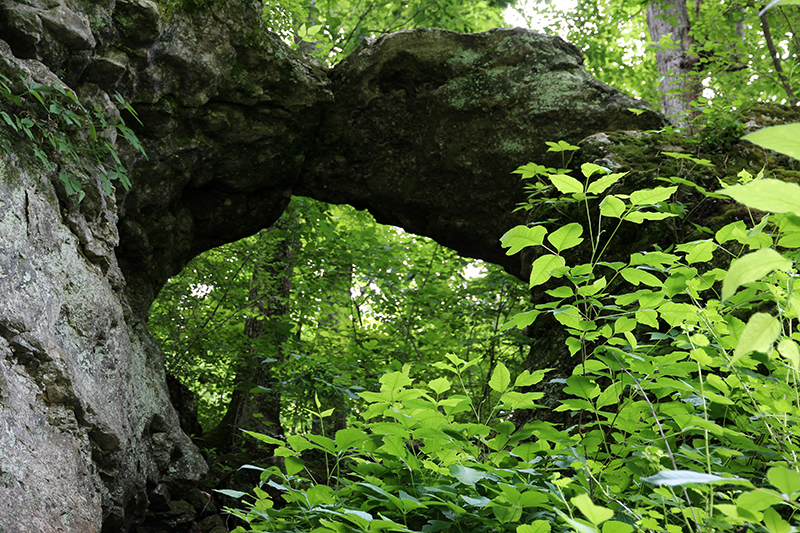 Dry Sac Arch Missouri