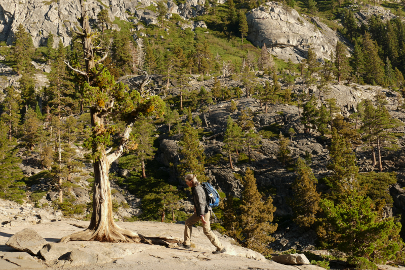 Bilder von Eagle Falls - Eagle Lake - Maggies Peaks - Pictures of Eagle Falls - Eagle Lake - Maggies Peaks