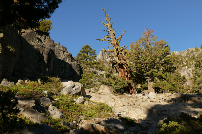 Bilder von Eagle Falls - Eagle Lake - Maggies Peaks - Pictures of Eagle Falls - Eagle Lake - Maggies Peaks