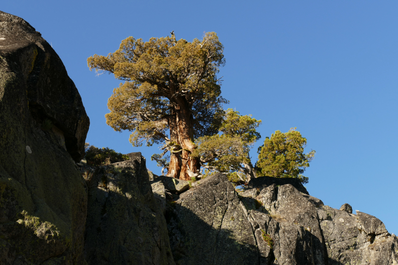 Bilder von Eagle Falls - Eagle Lake - Maggies Peaks - Pictures of Eagle Falls - Eagle Lake - Maggies Peaks