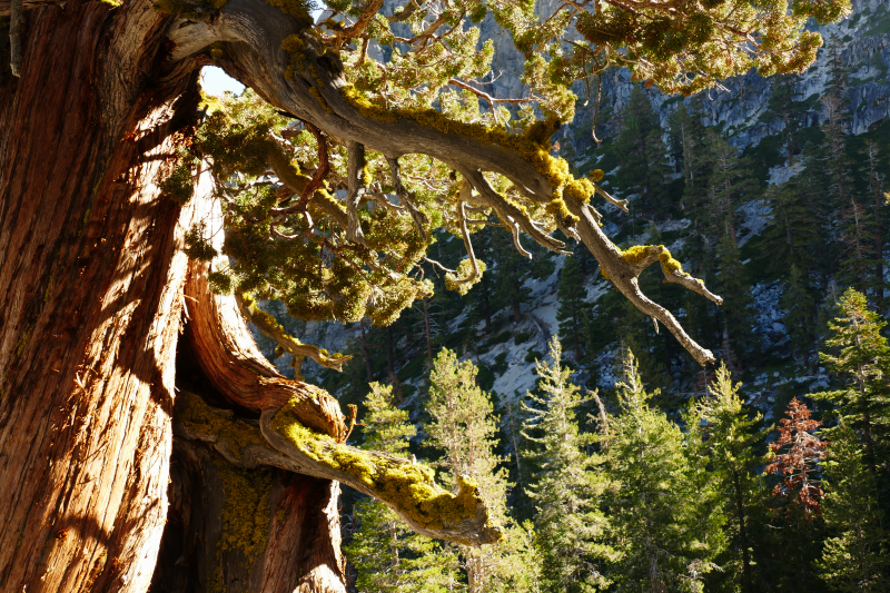 Bilder von Eagle Falls - Eagle Lake - Maggies Peaks - Pictures of Eagle Falls - Eagle Lake - Maggies Peaks