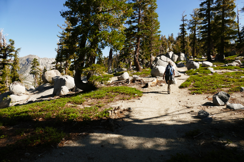 Eagle Falls - Eagle Lake - Bayview Trail [Eldorado National Forest]