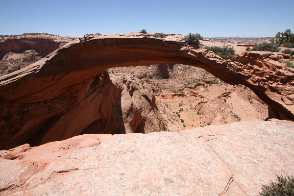 Eggshell Arch