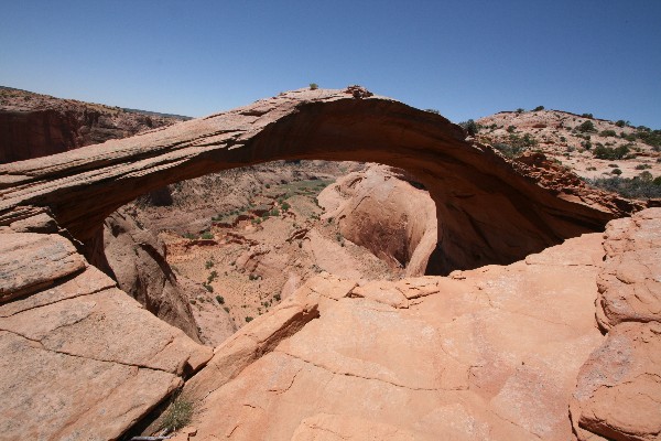 Eggshell Arch