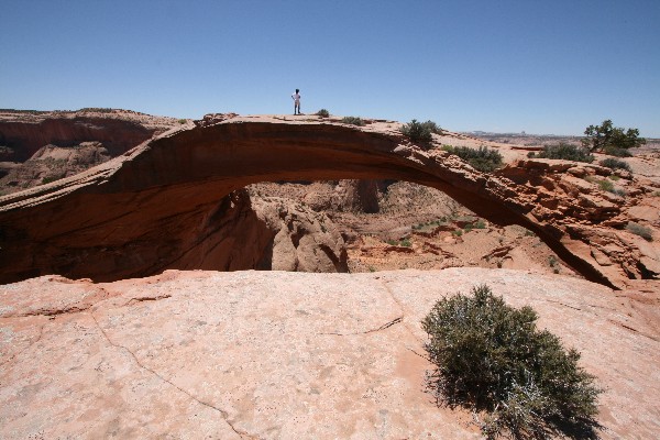 Eggshell Arch